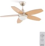 Ventilador de techo CREATE WINDFLOWOOD