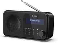 Sharp DR-P420 Radio Digital Portátil Negra