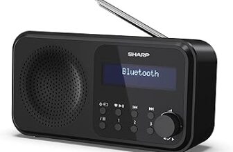 Sharp DR-P420 Radio Digital Portátil Negra