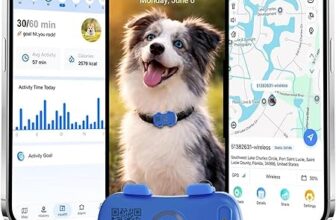 Collar GPS para perros y gatos con seguimiento 4G