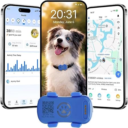 Collar GPS para perros y gatos con seguimiento 4G