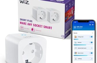 Enchufe inteligente WiZ, pack de 2 unidades