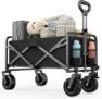 Carro de Playa Plegable GJCrafts 100L con Ruedas Grandes y Capacidad de Carga de 100 kg